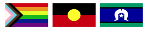 LGBTQI+ flag. Aboriginal Flag. Torres Strait Islander flag.